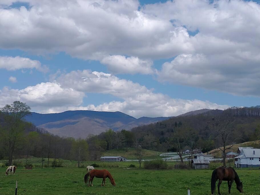 Country Mountain Escape! Villa Barnardsville Luaran gambar