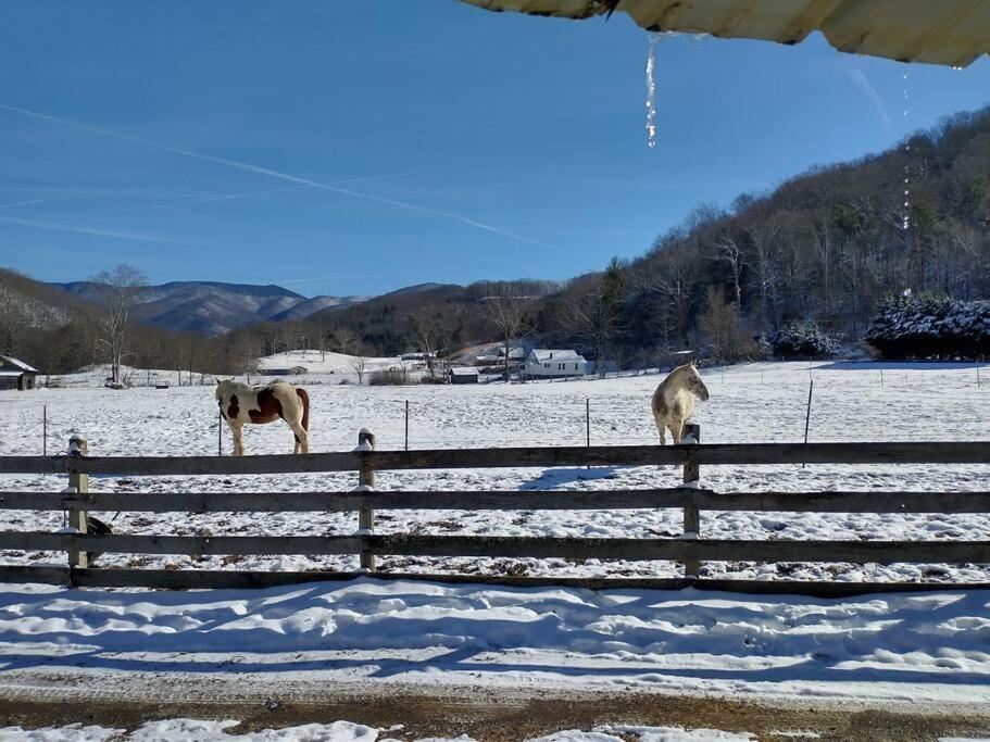 Country Mountain Escape! Villa Barnardsville Luaran gambar