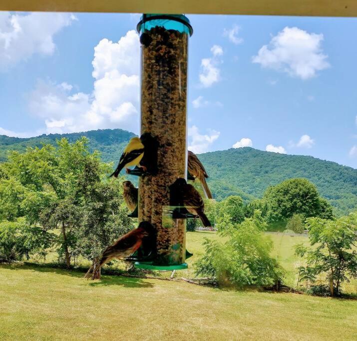 Country Mountain Escape! Villa Barnardsville Luaran gambar