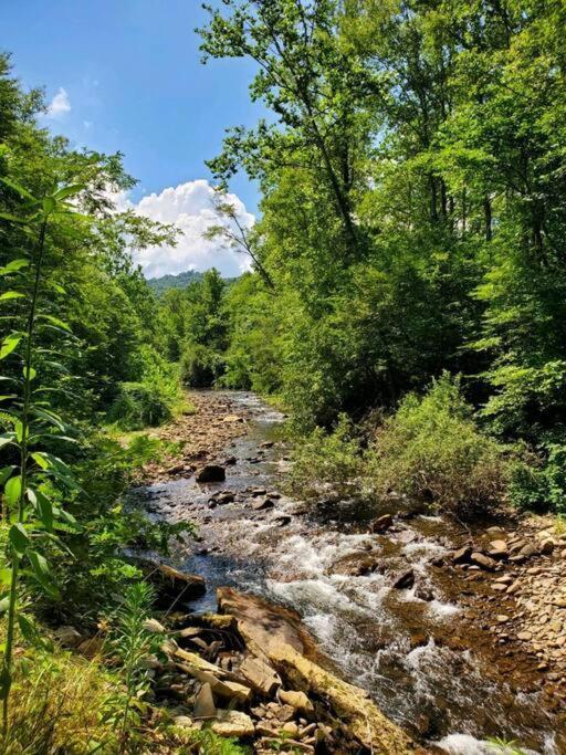 Country Mountain Escape! Villa Barnardsville Luaran gambar