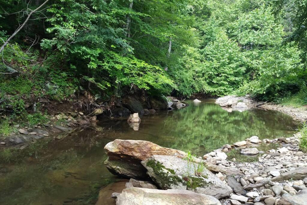 Country Mountain Escape! Villa Barnardsville Luaran gambar