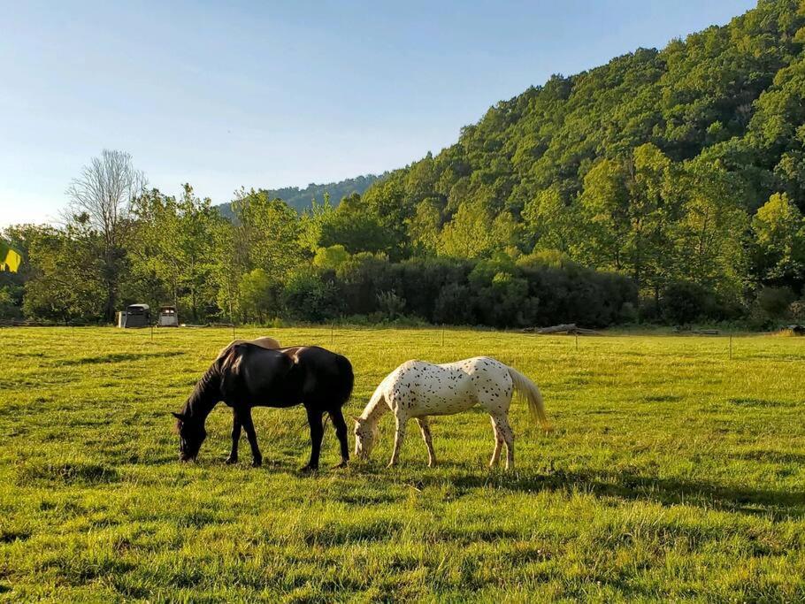 Country Mountain Escape! Villa Barnardsville Luaran gambar
