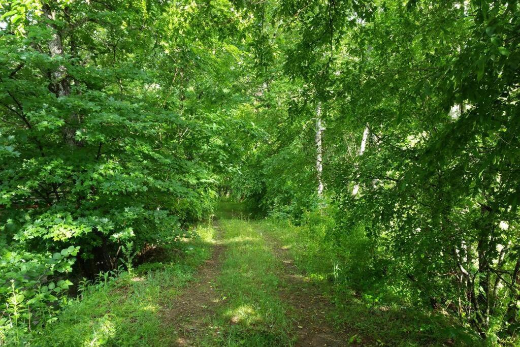 Country Mountain Escape! Villa Barnardsville Luaran gambar